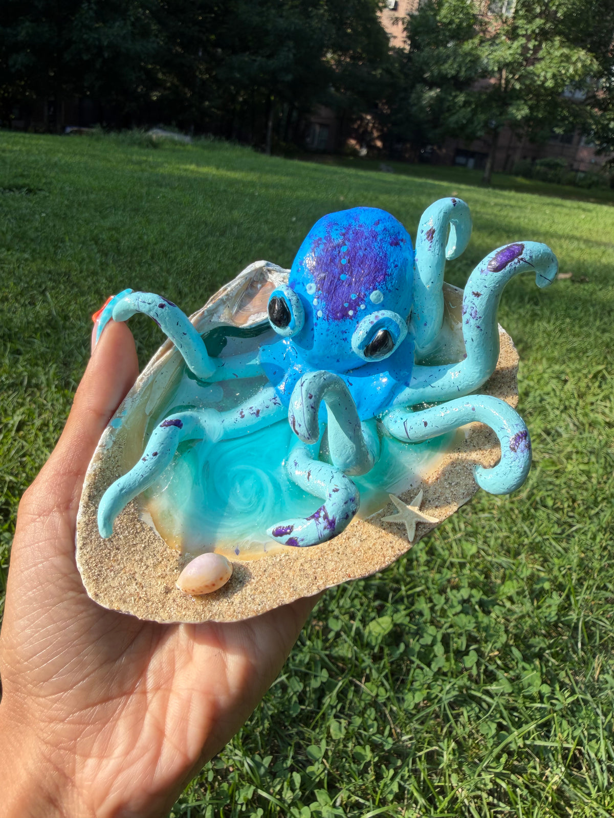 Octopus Shell Sculptures ~ Sandy Rim