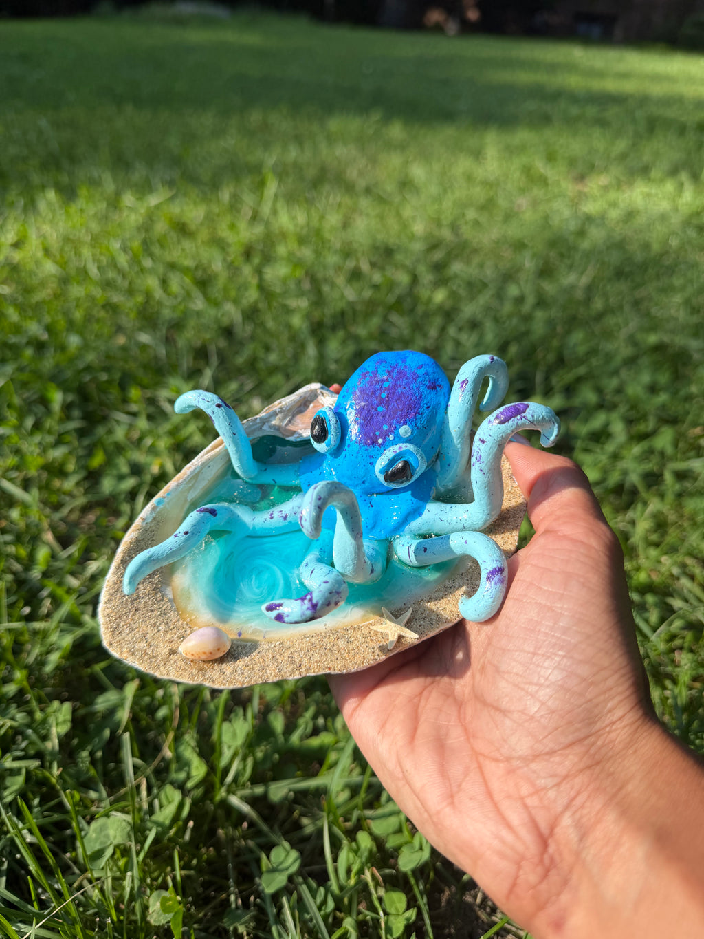 Octopus Shell Sculptures ~ Sandy Rim