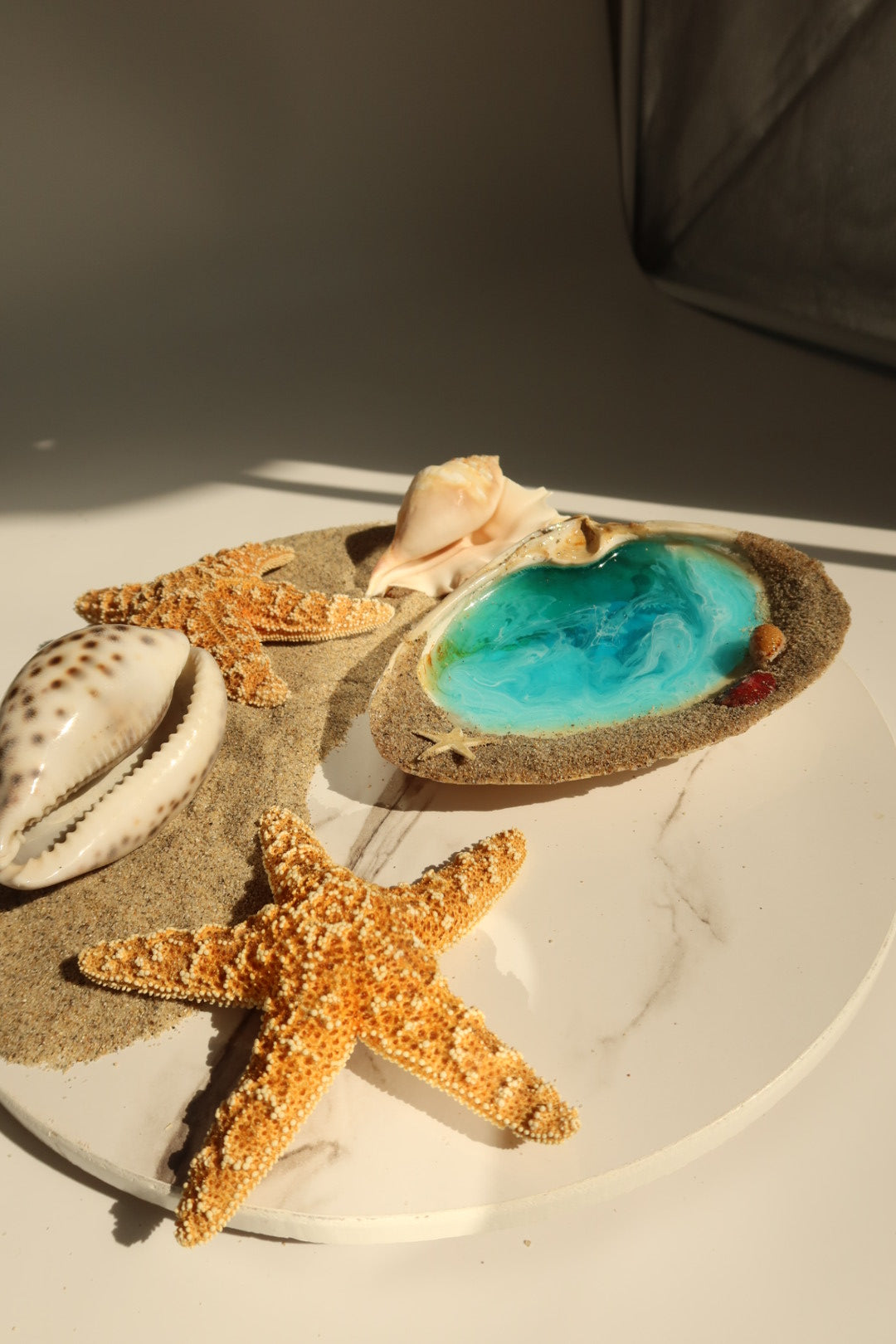 Sandy Rim Shell Tray ( Medium)
