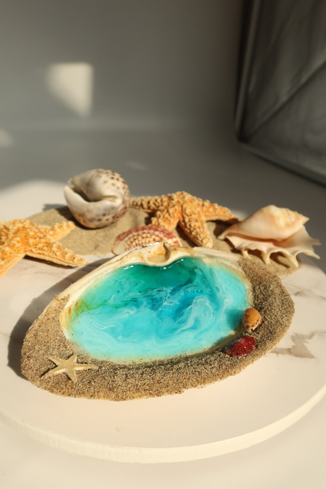 Sandy Rim Shell Tray (Large)