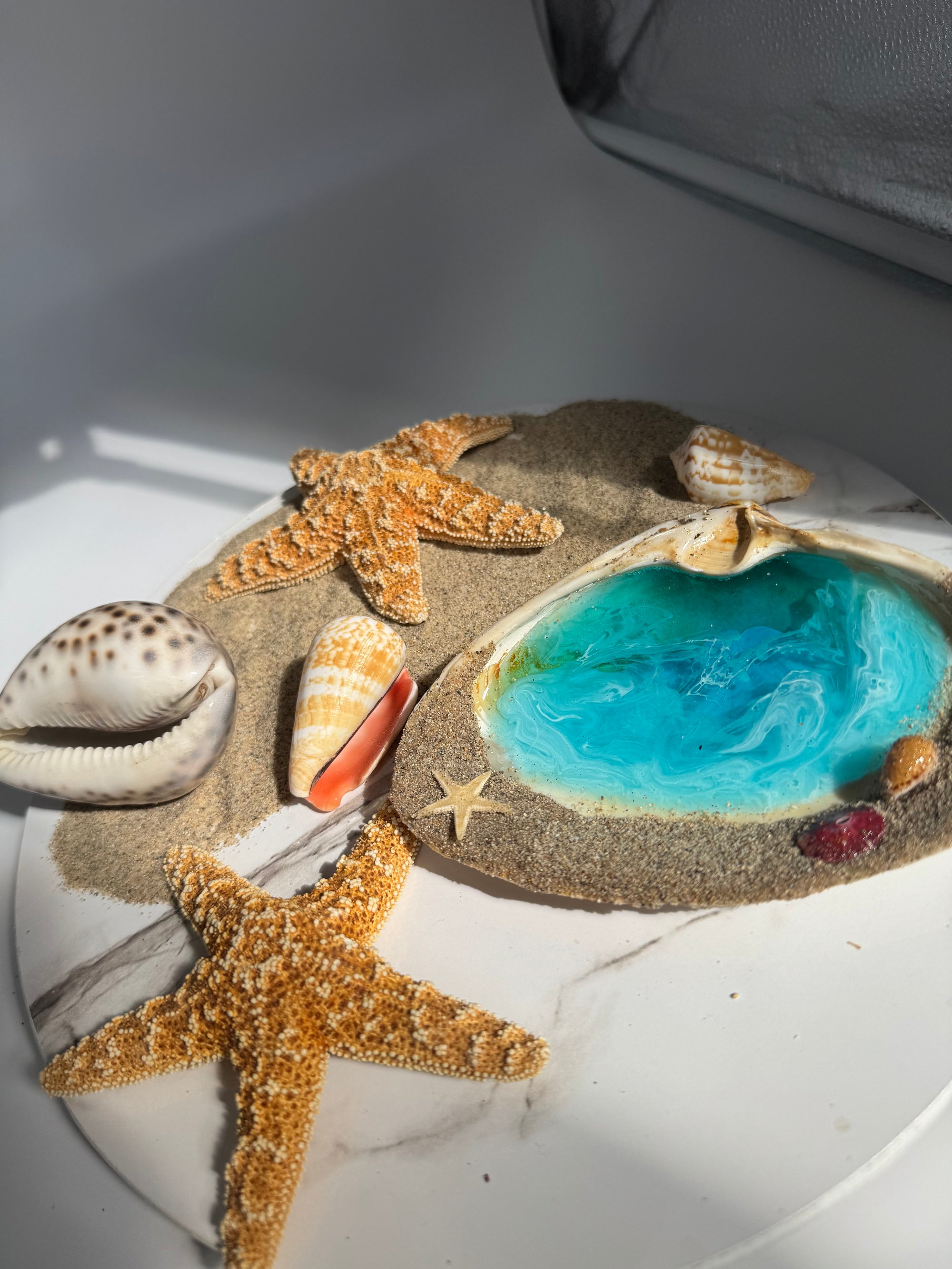 Sandy Rim Shell Tray (Large)